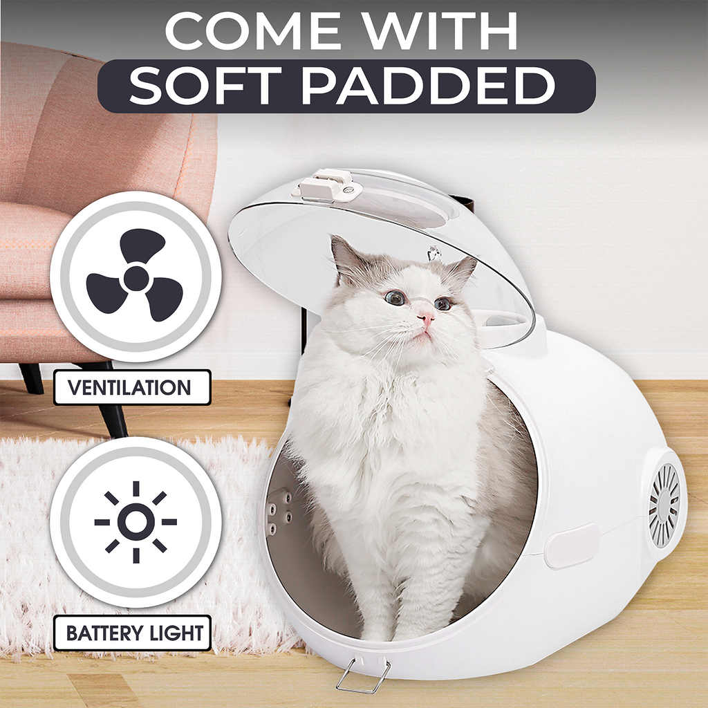 White cat carrier cheap