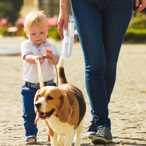 Dog Portable Water Bottle