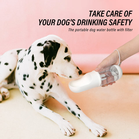 Dog Portable Water Bottle