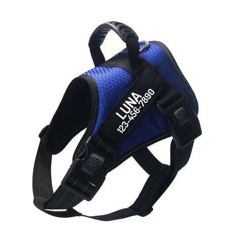 Personalized Dog Harness