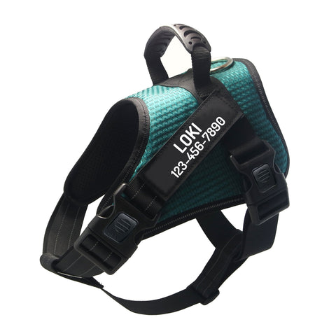 Personalized Dog Harness