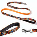 PawPawify Dog Leash
