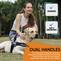 PawPawify Dog Leash