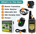Dog Training Collar