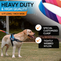 PawPawify Dog Leash