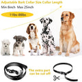 Dog Training Collar