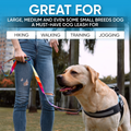 PawPawify Dog Leash