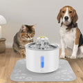 Pet Fountain