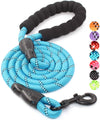 Strong Dog Leash