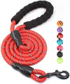 Strong Dog Leash