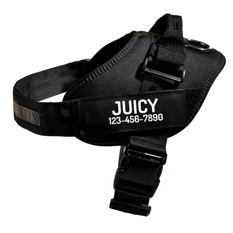 Personalized No Pull Dog Harness