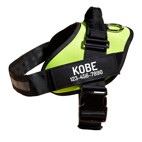 Personalized No Pull Dog Harness