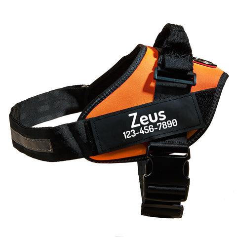 Personalized No Pull Dog Harness