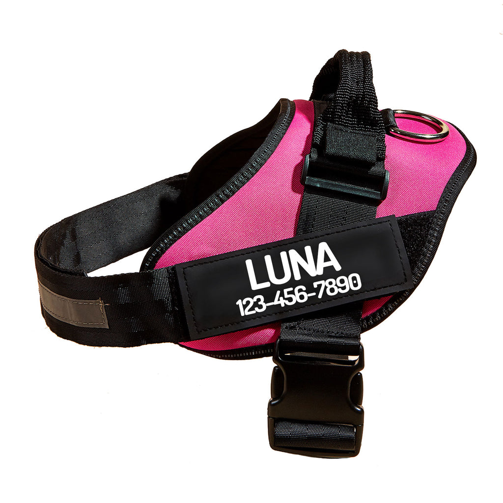 Personalized No Pull Dog Harness