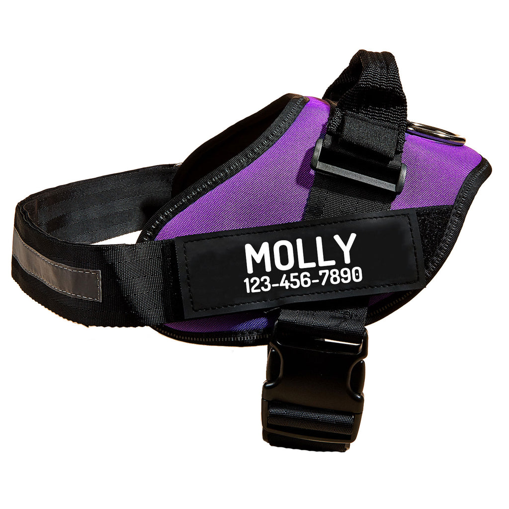 Personalized No Pull Dog Harness