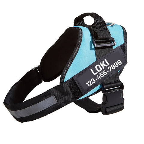 Personalized No Pull Dog Harness